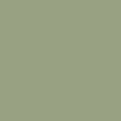 Echantillon de couleur N.487 Vert Tilleul